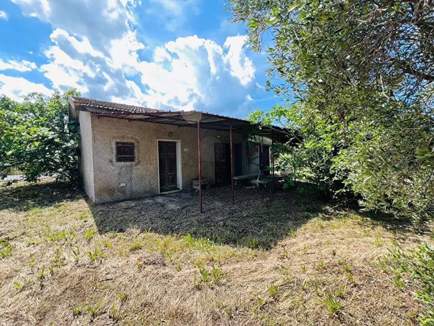 Immagine 2 di Casa semindipendente in vendita  a Castagneto Carducci