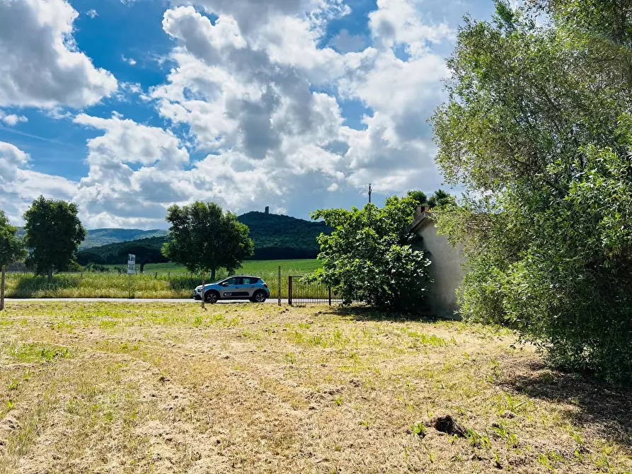 Immagine 7 di Casa semindipendente in vendita  a Castagneto Carducci