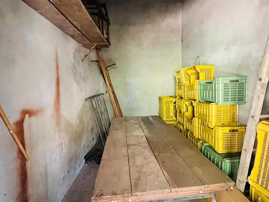 Immagine 8 di Casa semindipendente in vendita  a Castagneto Carducci