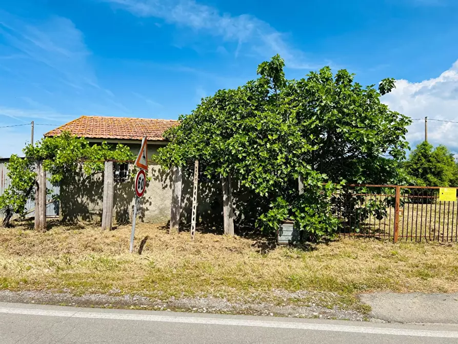 Immagine 11 di Casa semindipendente in vendita  a Castagneto Carducci