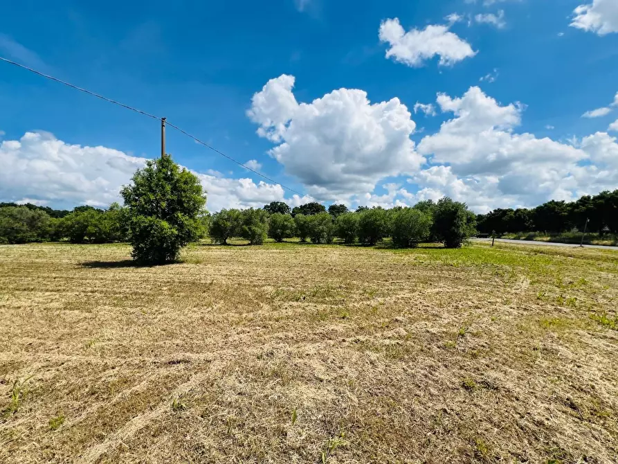 Immagine 4 di Casa semindipendente in vendita  a Castagneto Carducci