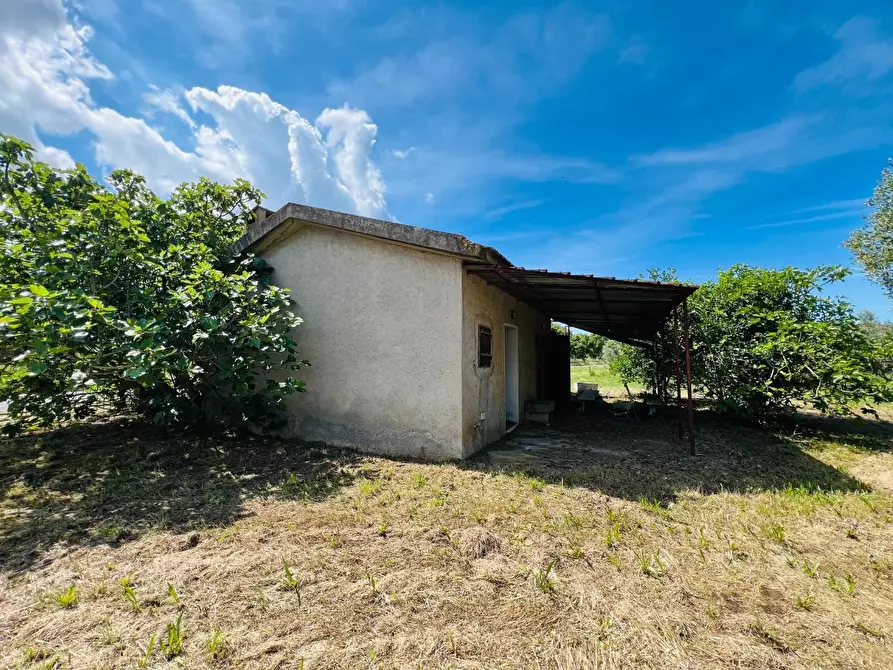 Immagine 1 di Casa semindipendente in vendita  a Castagneto Carducci