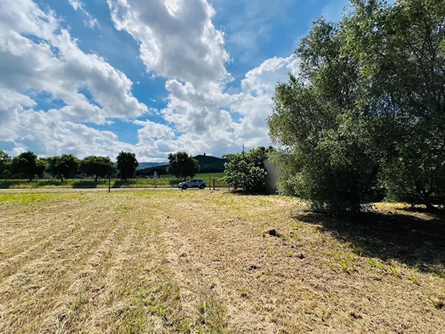 Immagine 6 di Casa semindipendente in vendita  a Castagneto Carducci