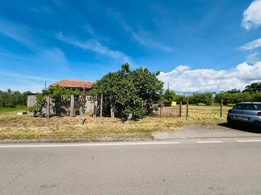 Immagine 10 di Casa semindipendente in vendita  a Castagneto Carducci