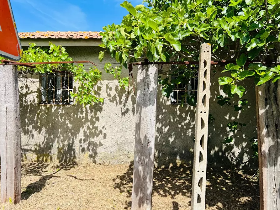 Immagine 13 di Casa semindipendente in vendita  a Castagneto Carducci