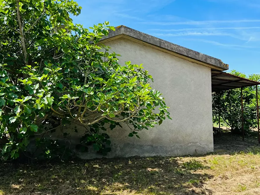 Immagine 14 di Casa semindipendente in vendita  a Castagneto Carducci