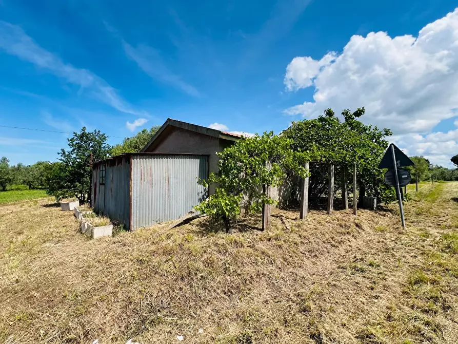 Immagine 9 di Casa semindipendente in vendita  a Castagneto Carducci