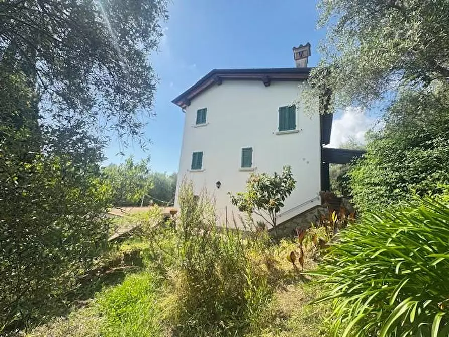 Immagine 3 di Villa in vendita  a Pietrasanta