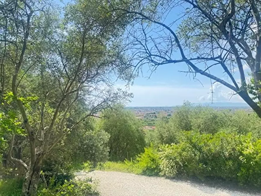 Immagine 46 di Villa in vendita  a Pietrasanta