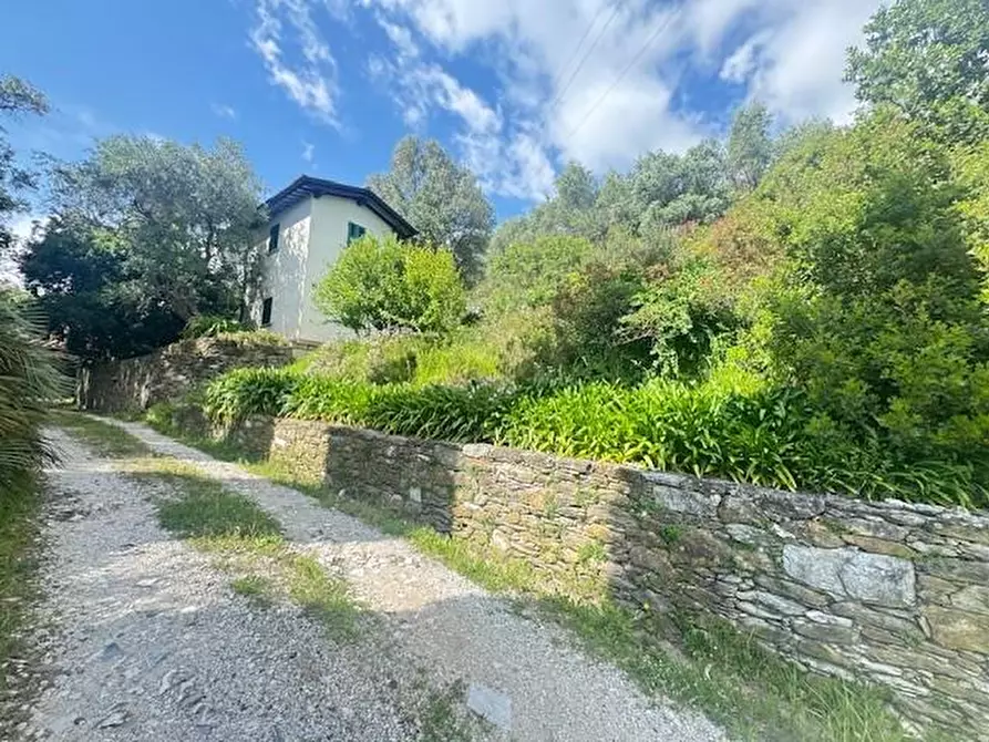 Immagine 9 di Villa in vendita  a Pietrasanta