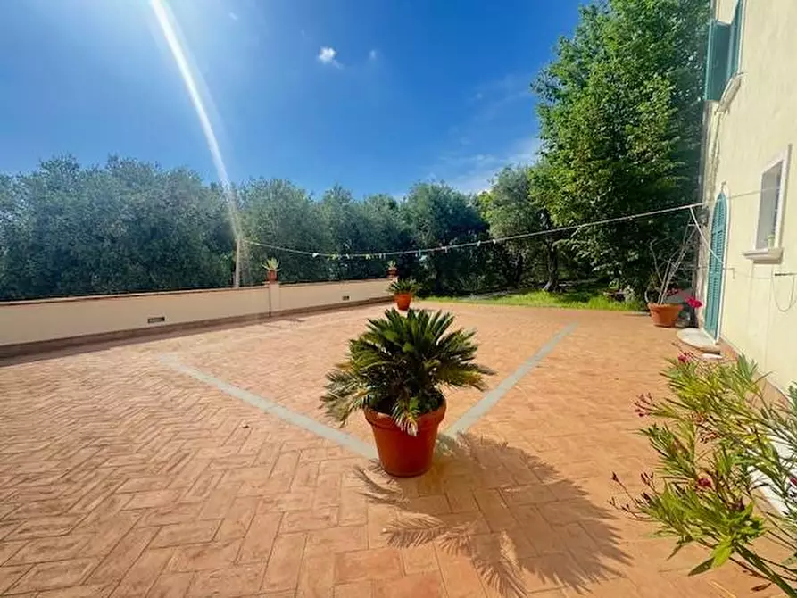 Immagine 17 di Villa in vendita  a Pietrasanta