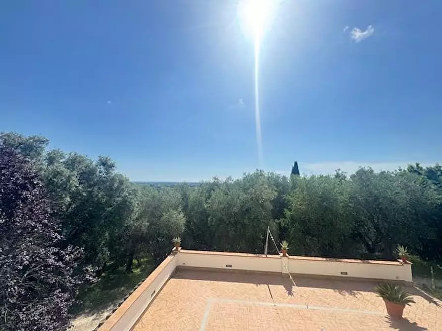 Immagine 16 di Villa in vendita  a Pietrasanta