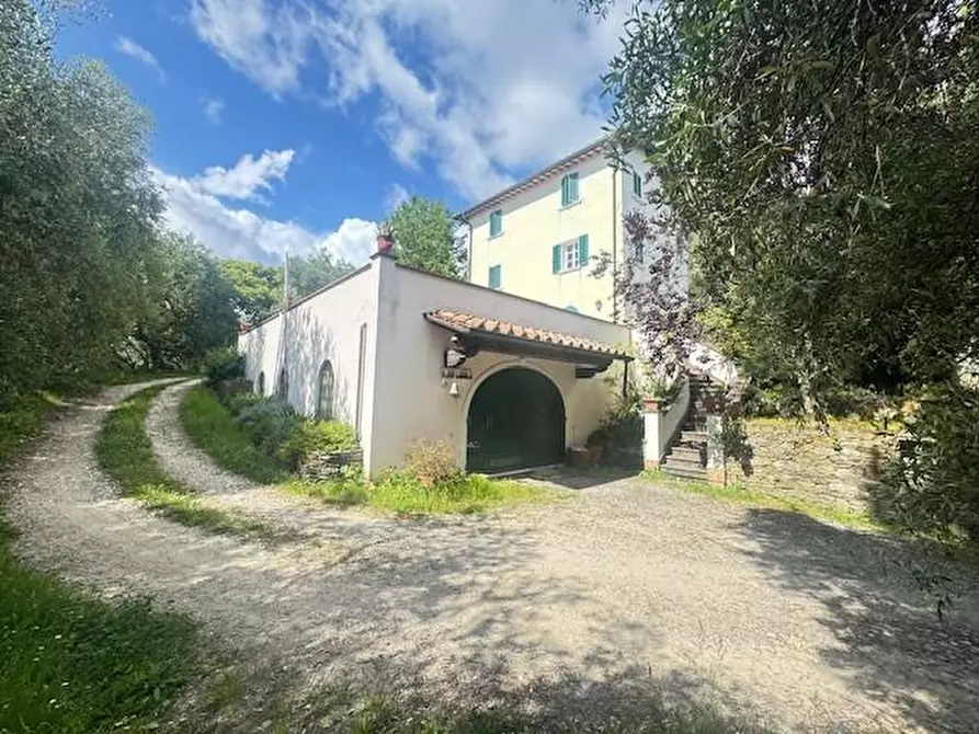 Immagine 12 di Villa in vendita  a Pietrasanta
