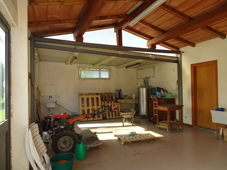 Immagine 3 di Terreno agricolo in vendita  a Pistoia