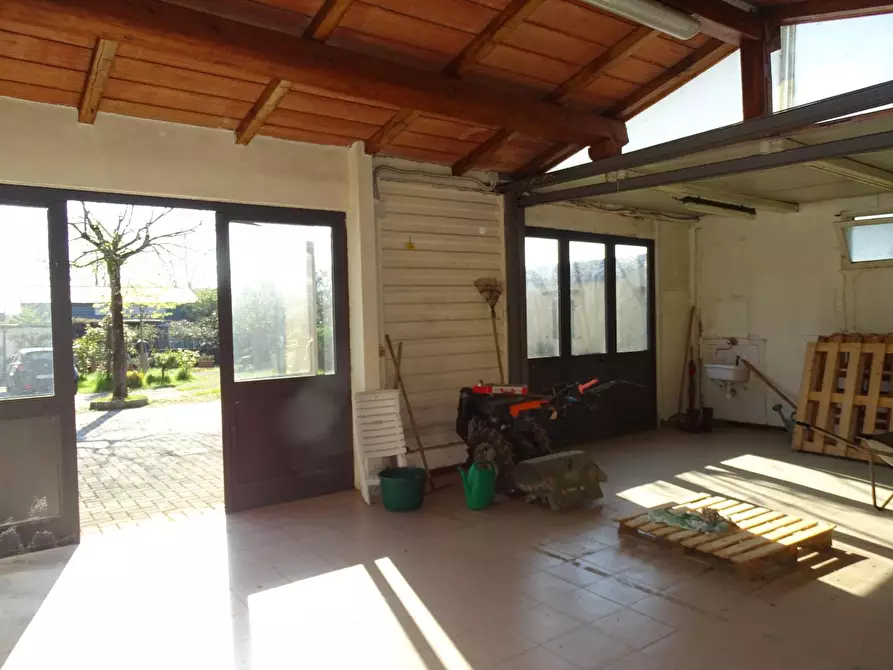 Immagine 4 di Terreno agricolo in vendita  a Pistoia