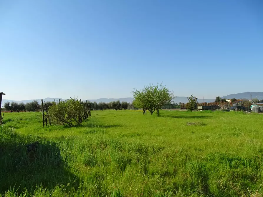 Immagine 6 di Terreno agricolo in vendita  a Pistoia