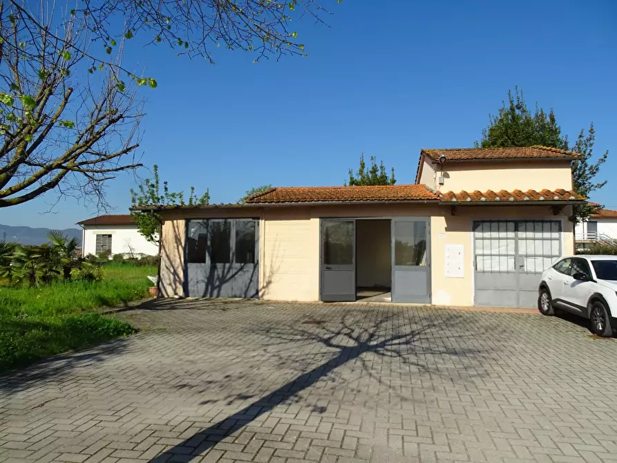 Immagine 1 di Terreno agricolo in vendita  a Pistoia