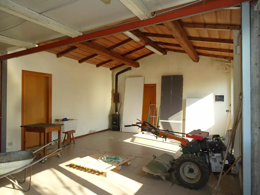 Immagine 5 di Terreno agricolo in vendita  a Pistoia