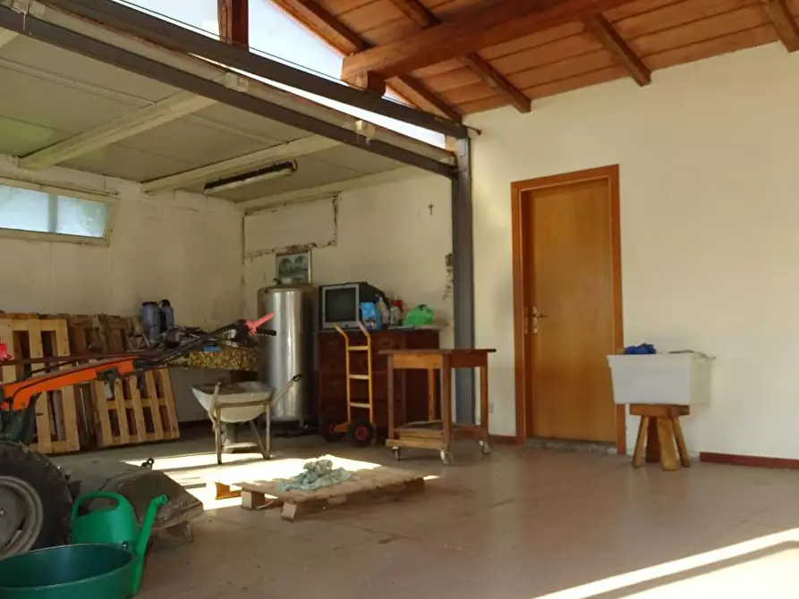 Immagine 2 di Terreno agricolo in vendita  a Pistoia