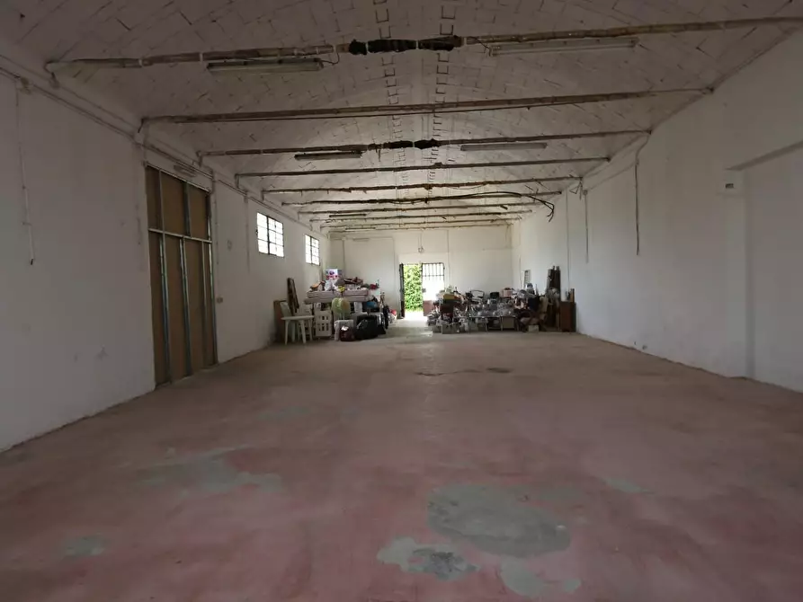 Immagine 3 di Magazzino in affitto  a Buti