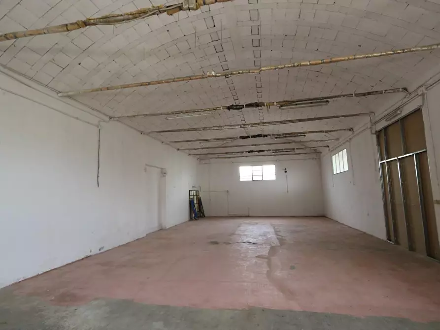 Immagine 2 di Magazzino in affitto  a Buti