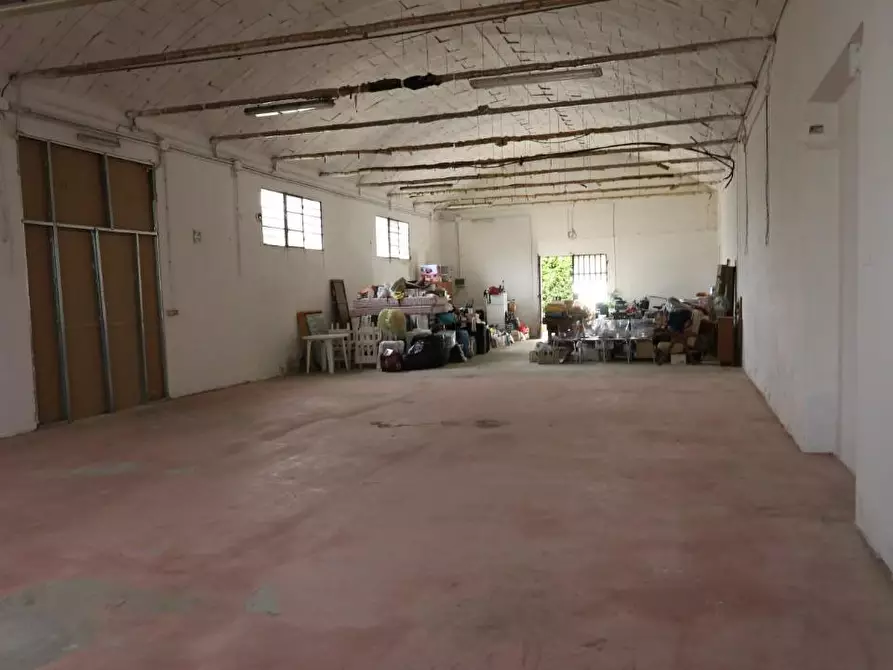 Immagine 4 di Magazzino in affitto  a Buti