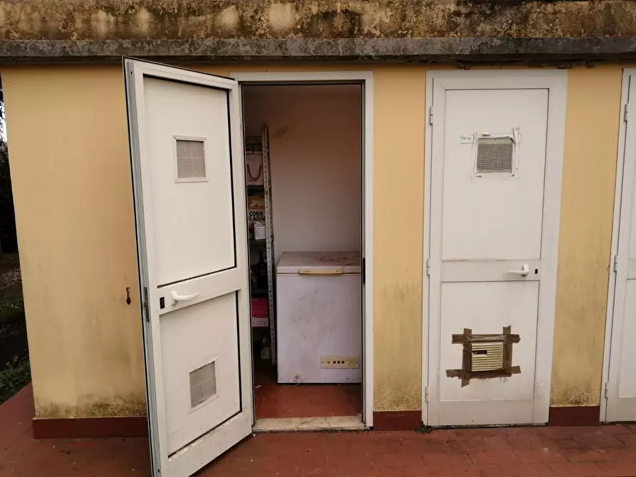 Immagine 17 di Appartamento in vendita  a Rosignano Marittimo