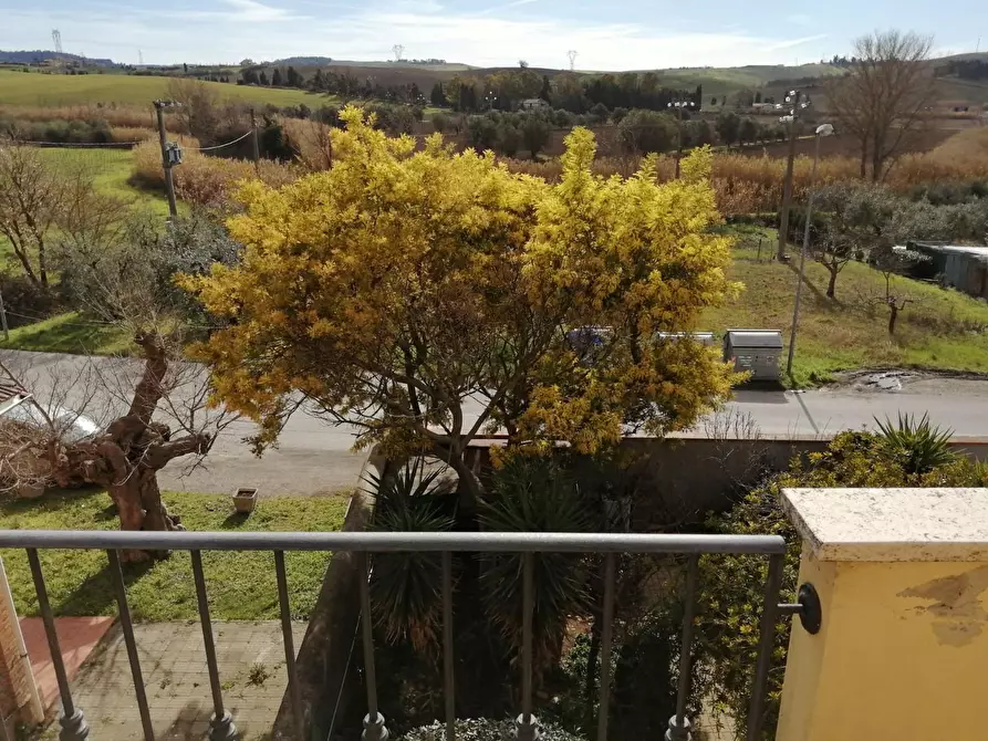 Immagine 9 di Appartamento in vendita  a Rosignano Marittimo