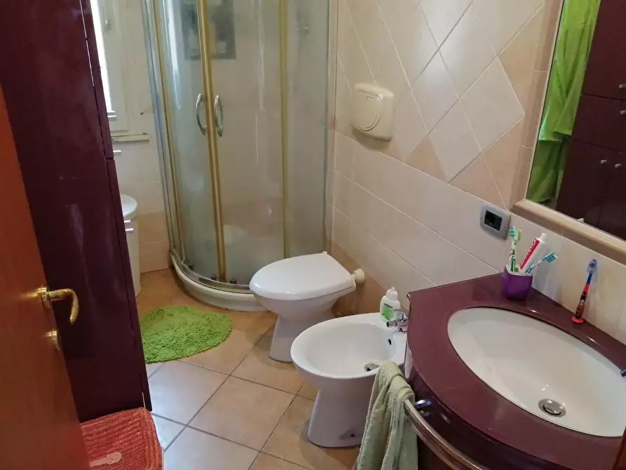 Immagine 11 di Appartamento in vendita  a Rosignano Marittimo