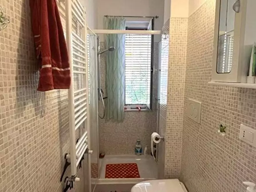 Immagine 6 di Appartamento in vendita  a Massa