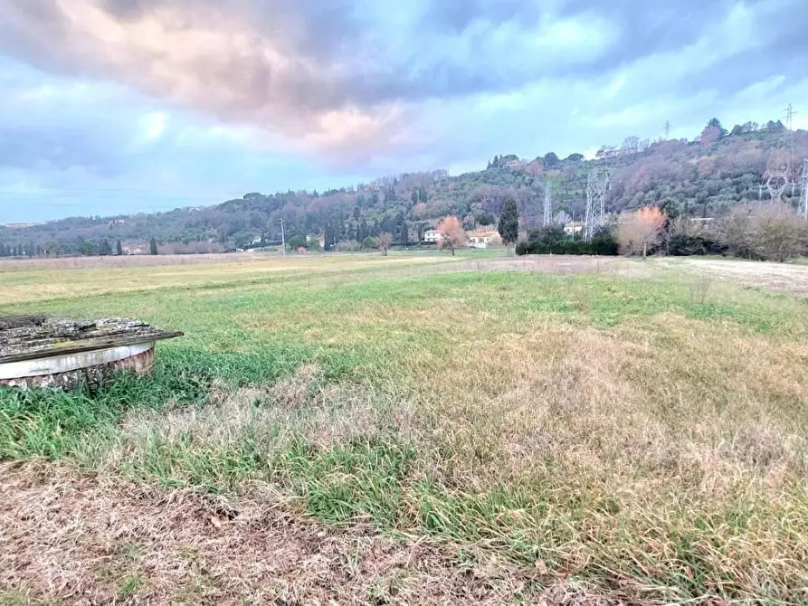 Immagine 4 di Terreno agricolo in vendita  a Santa Maria A Monte