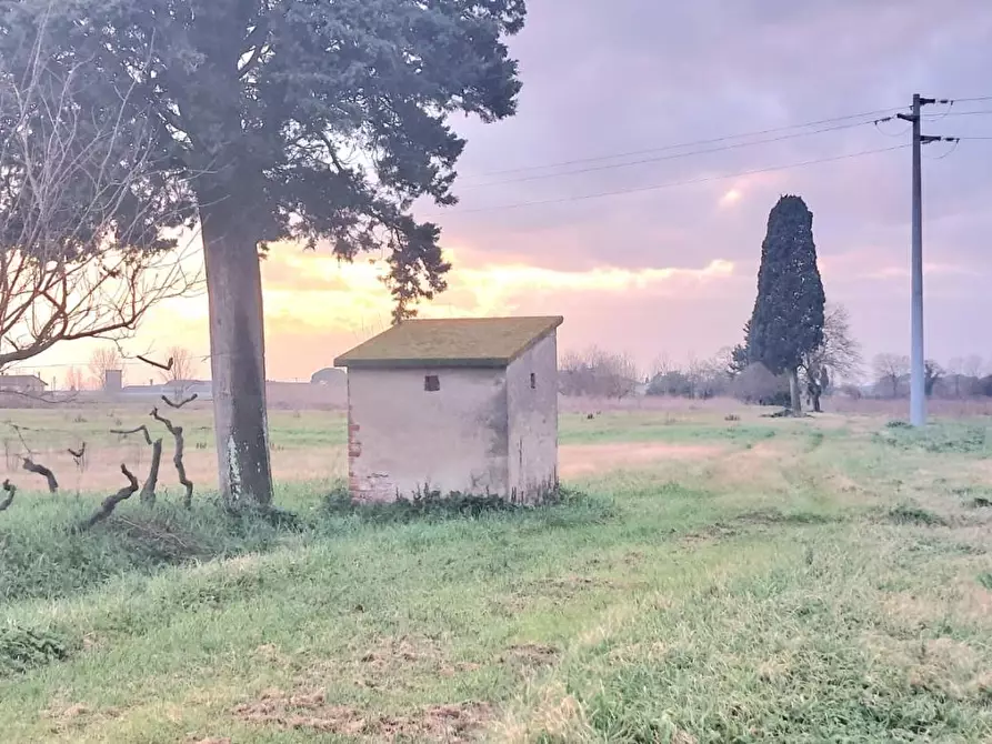 Immagine 1 di Terreno agricolo in vendita  a Santa Maria A Monte