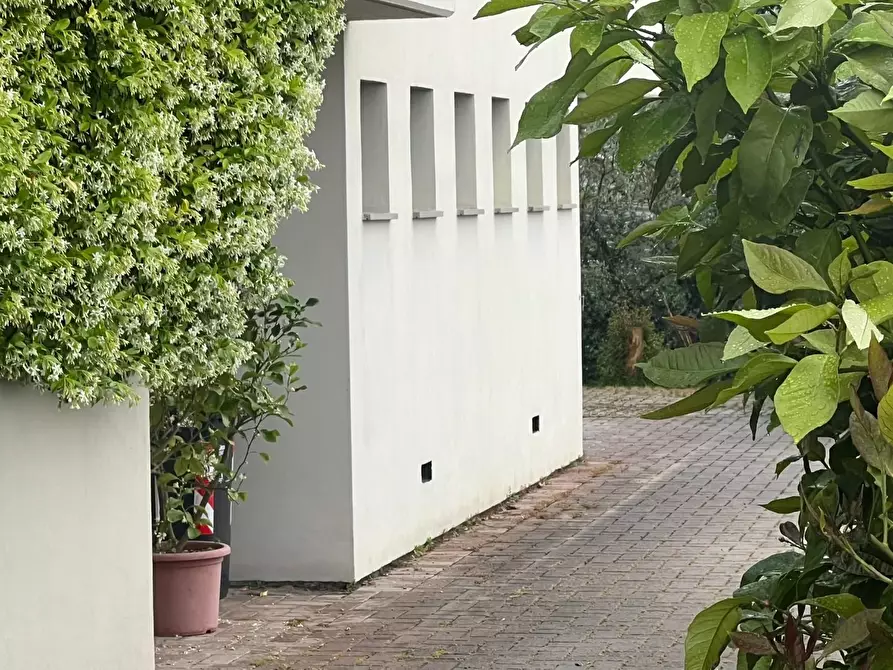 Immagine 21 di Seminterrato in vendita  a Vinci