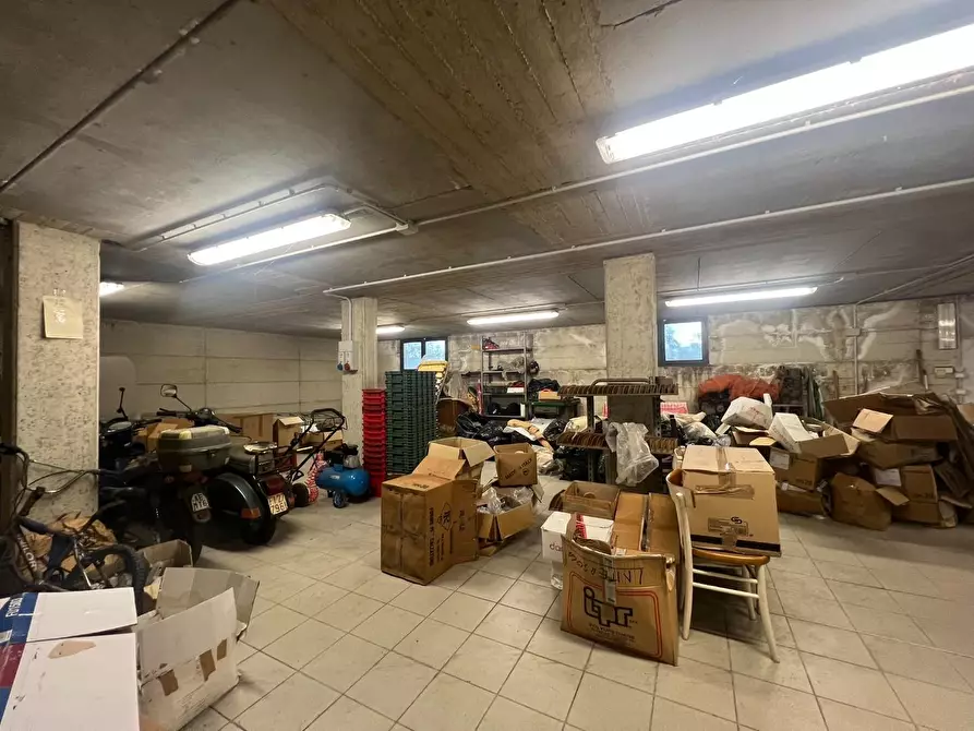 Immagine 15 di Seminterrato in vendita  a Vinci