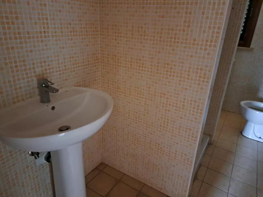 Immagine 5 di Appartamento in vendita  a Terricciola