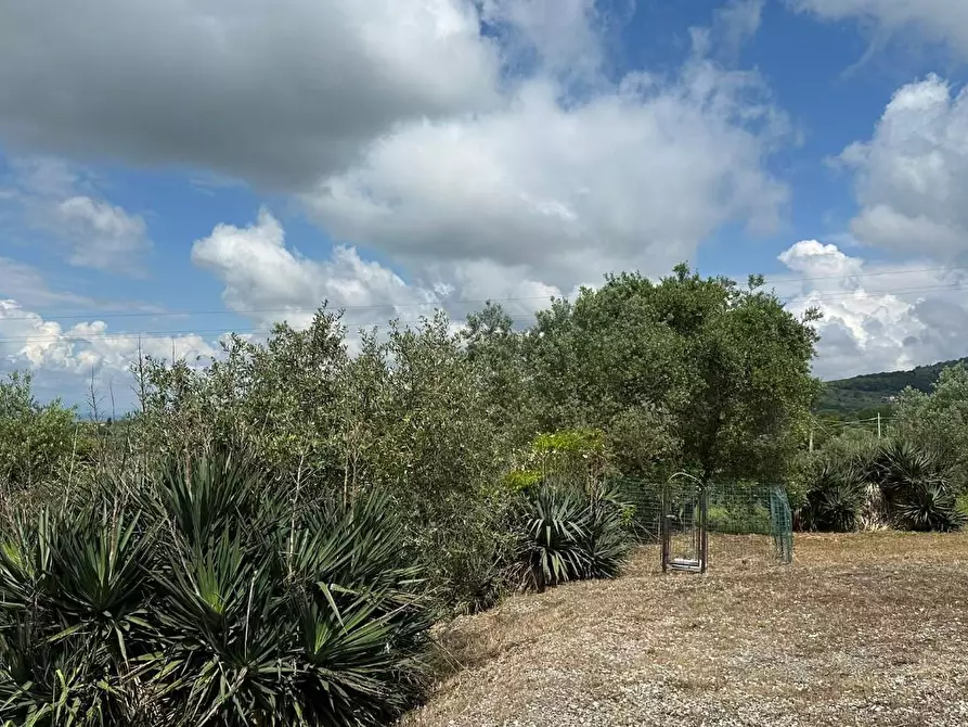Immagine 3 di Casa colonica in vendita  a Capraia E Limite