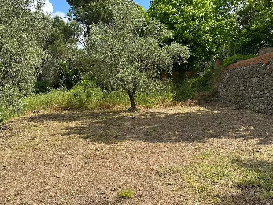 Immagine 26 di Casa colonica in vendita  a Capraia E Limite