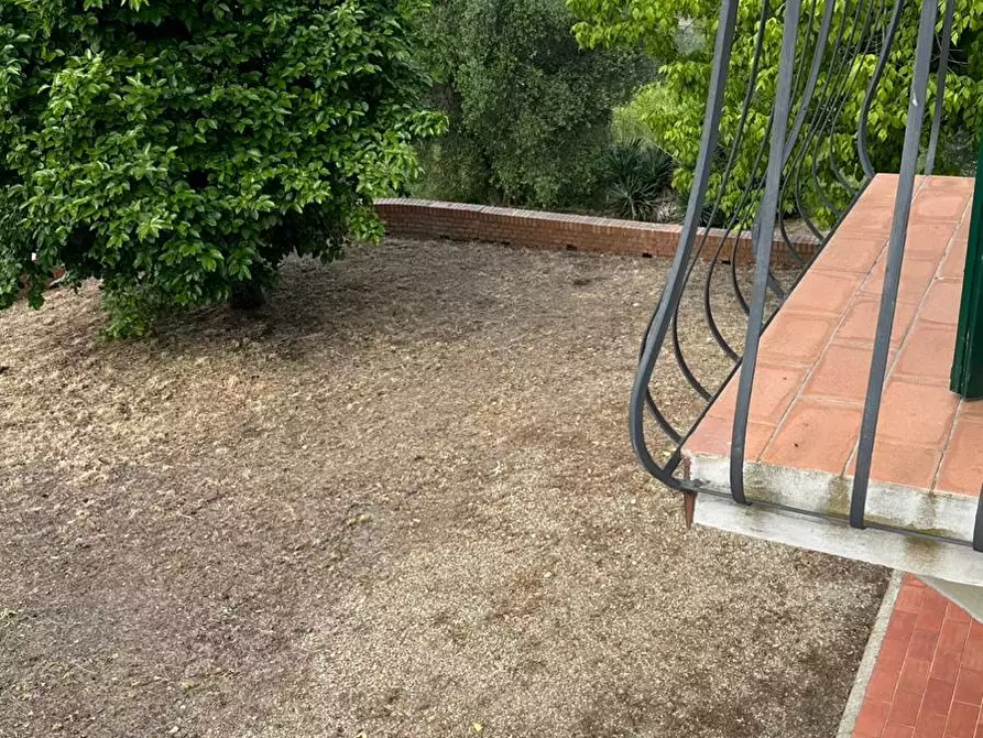 Immagine 14 di Casa colonica in vendita  a Capraia E Limite