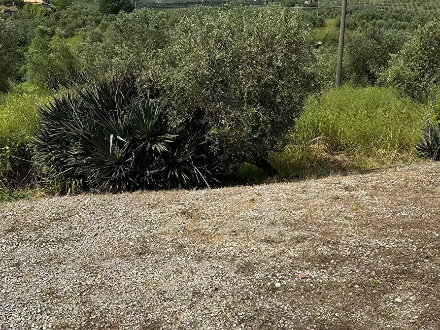 Immagine 27 di Casa colonica in vendita  a Capraia E Limite
