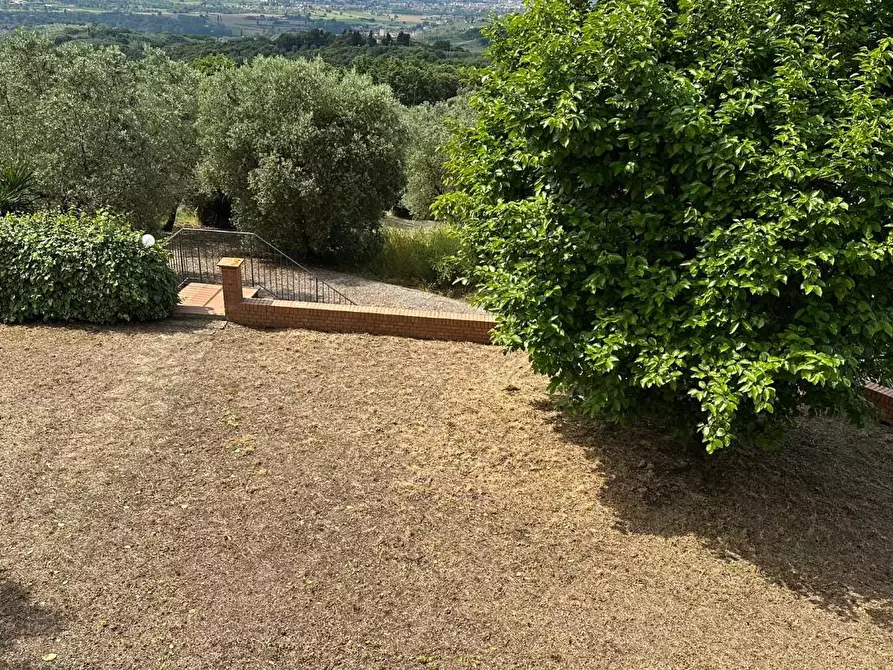 Immagine 1 di Casa colonica in vendita  a Capraia E Limite