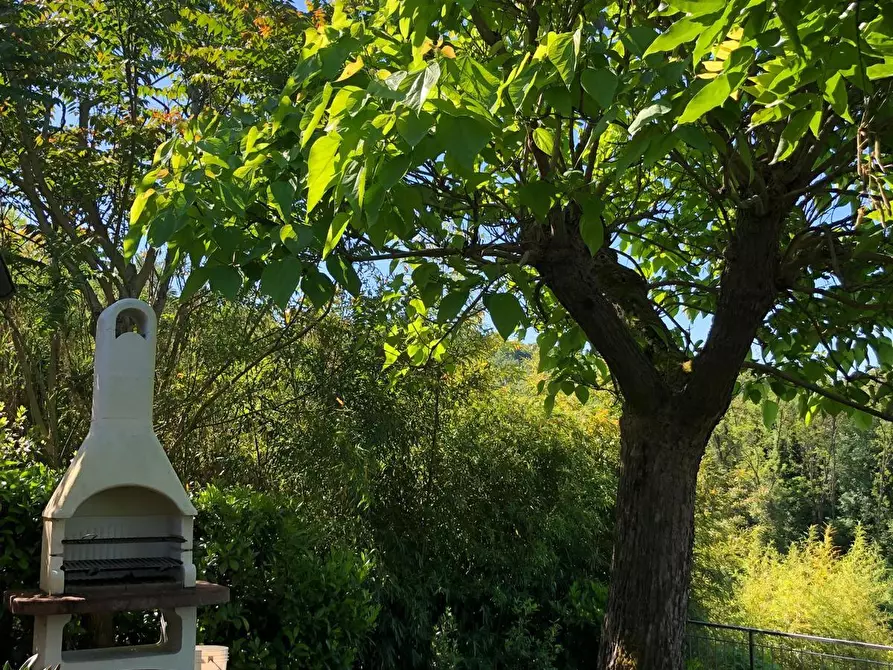 Immagine 8 di Appartamento in vendita  a Poggibonsi