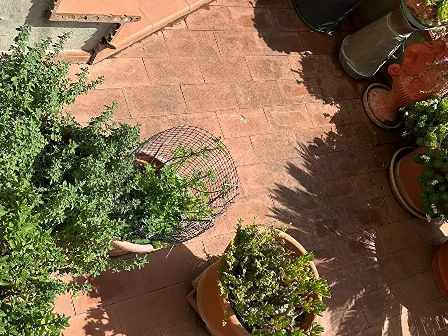 Immagine 12 di Appartamento in vendita  a Vinci