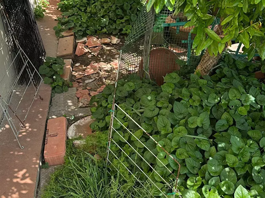 Immagine 13 di Appartamento in vendita  a Vinci