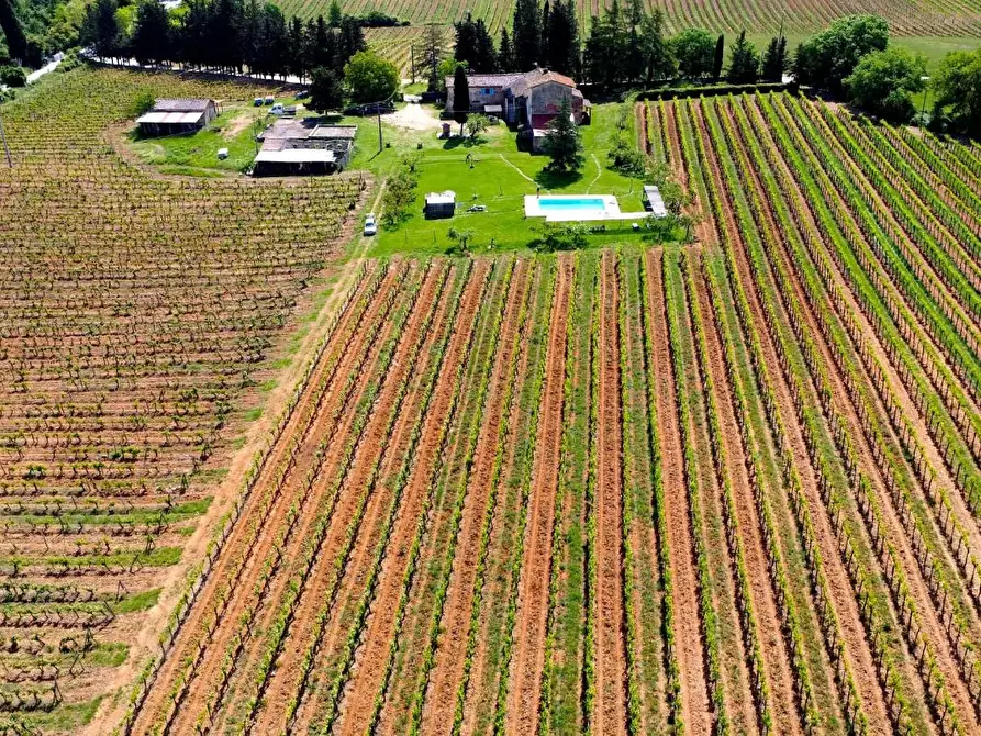 Immagine 10 di Azienda agricola in vendita  a Monteriggioni