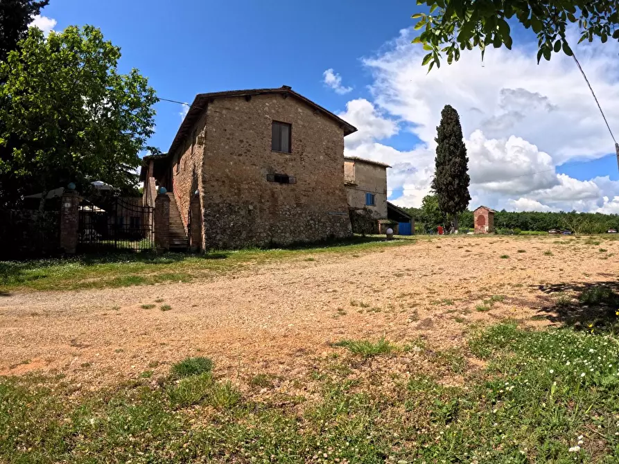 Immagine 15 di Azienda agricola in vendita  a Monteriggioni