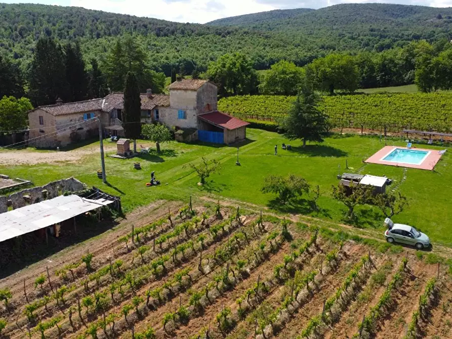 Immagine 1 di Azienda agricola in vendita  a Monteriggioni
