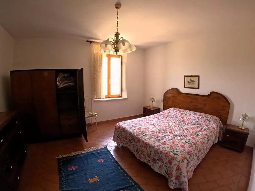 Immagine 23 di Azienda agricola in vendita  a Monteriggioni