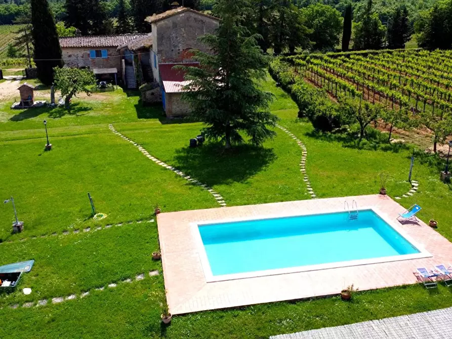 Immagine 5 di Azienda agricola in vendita  a Monteriggioni