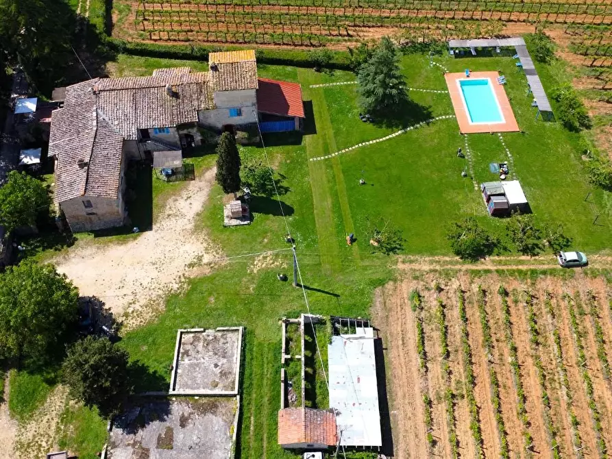 Immagine 7 di Azienda agricola in vendita  a Monteriggioni