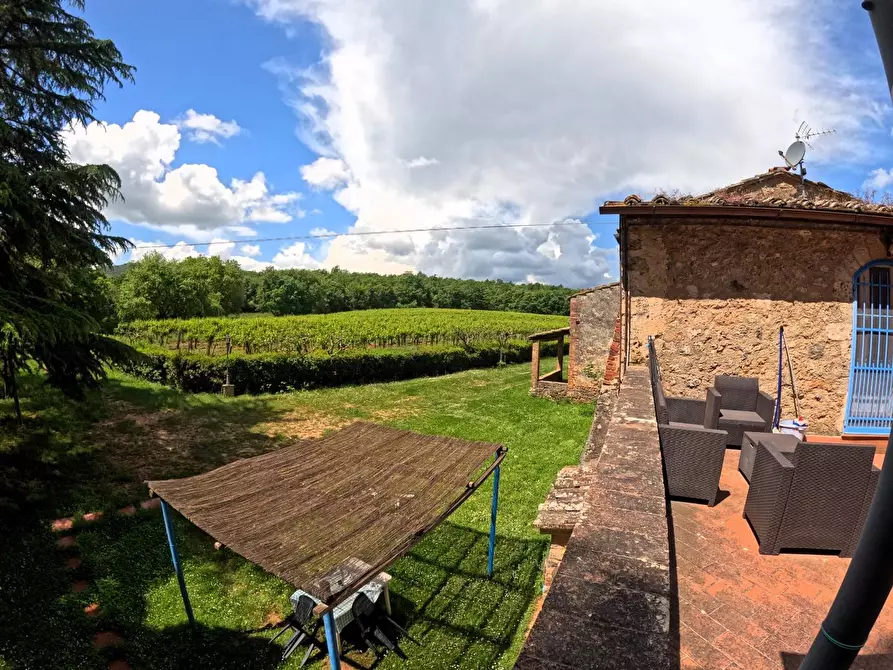 Immagine 22 di Azienda agricola in vendita  a Monteriggioni